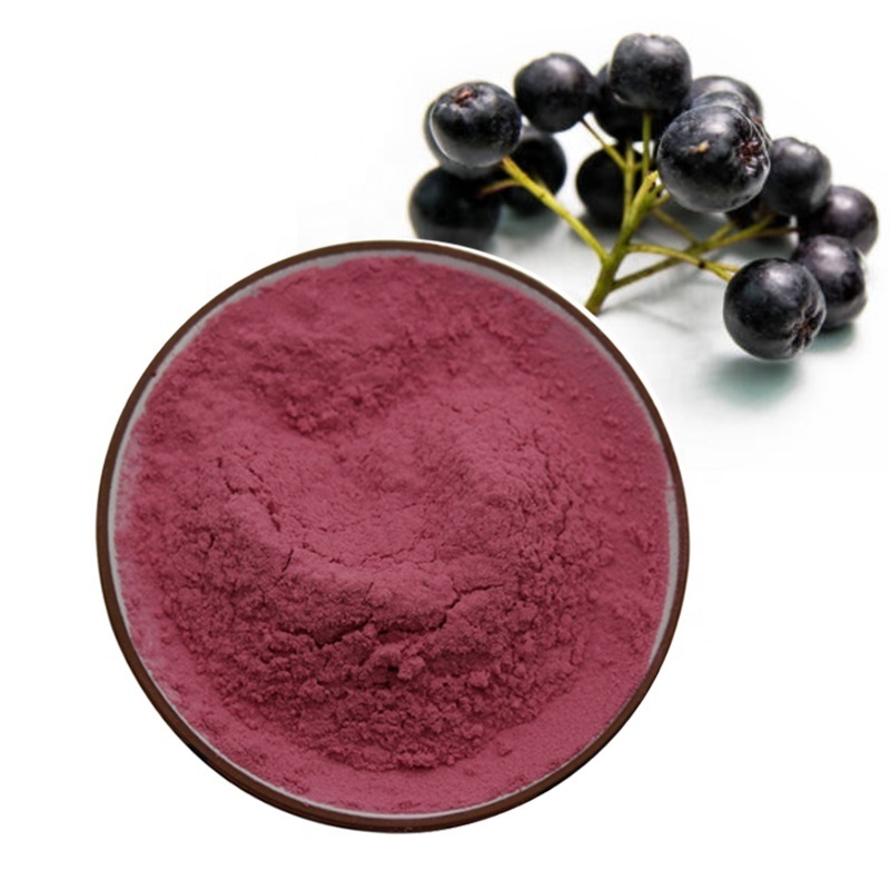 Wild berry powder aronia berry juice powder aronia powder