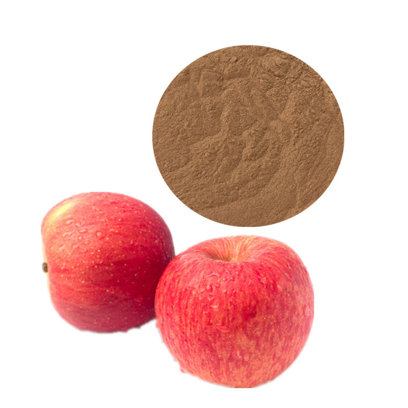 supplements Apple extract apple powder