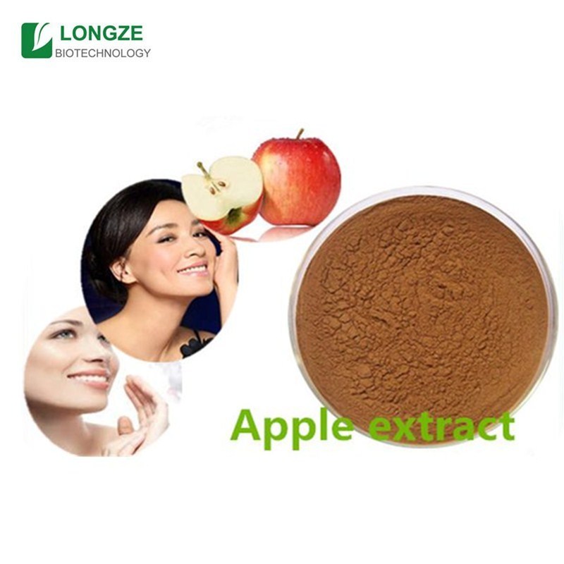 Best quality apple extract powder,malus domestica fruit powder