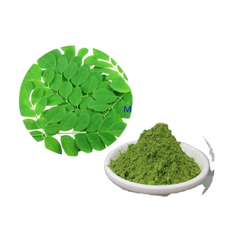 high quality bulk moringa leaves extract moringa leaf powder