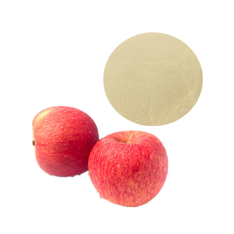 Reliable Manufacture Supply apple cider vinegar powder