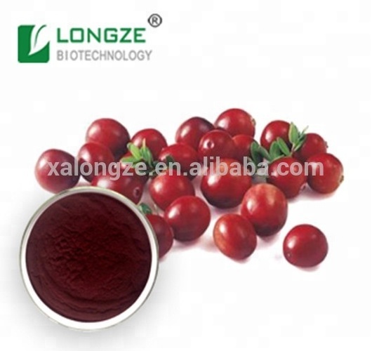 Kosher certified pure cranberry/cranberry extract powder proanthocyanidins 25%