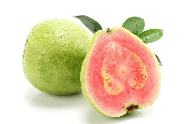 Guava Fruit powder Guava juice powder Guava powder