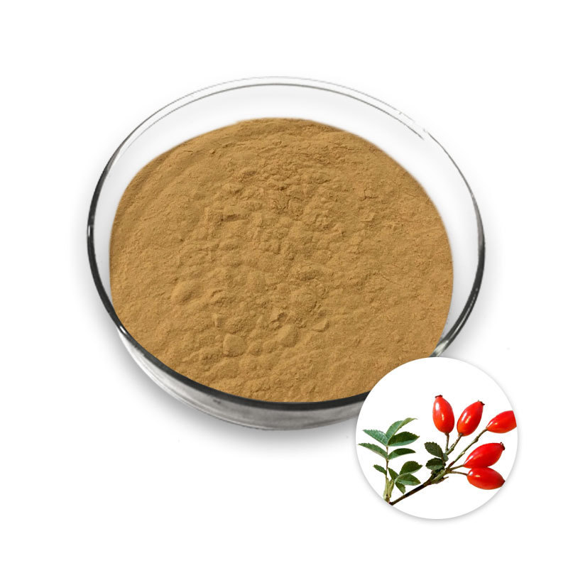 rose hip powder / Rosehip extract powder/ Rose hip extract powder