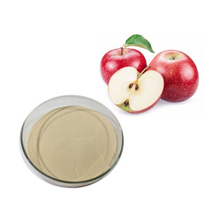 Water Soluble Apple Powder Apple Juice Powder