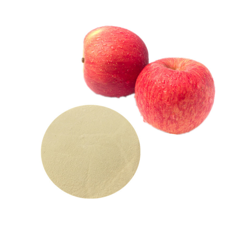 Reliable Manufacture Supply apple cider vinegar powder