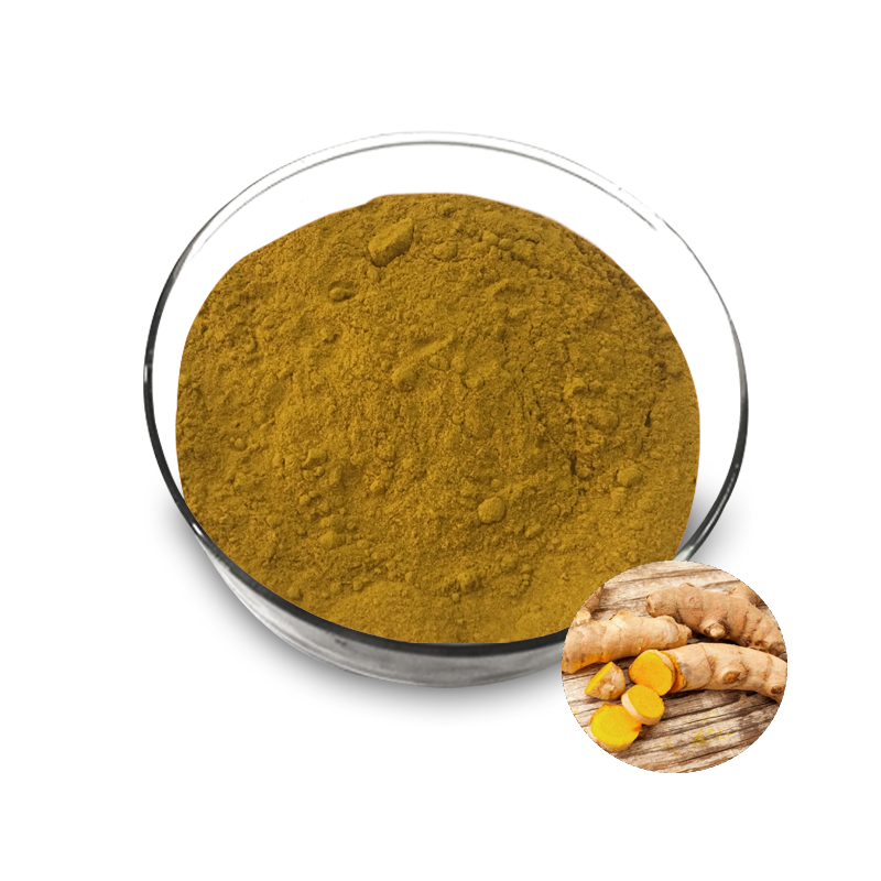 Hot Sale Tumeric Extract Powder Tumeric curcumin capsules Powder Extract spices powder