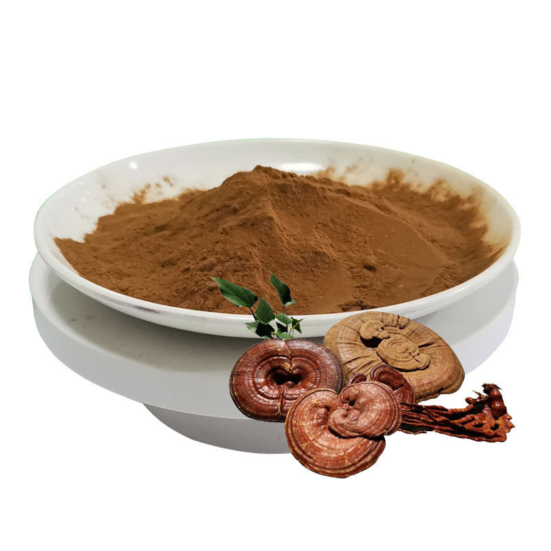 Ganoderma,Maitake,Chaga, Cordyceps,Ganoderma Reishi,Lions Mane Mushroom Organic Mushroom Extract Powder