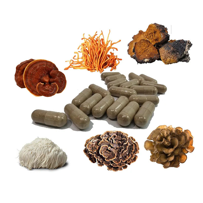 Ganoderma,Maitake,Chaga, Cordyceps,Ganoderma Reishi,Lions Mane Mushroom Organic Mushroom Extract Powder