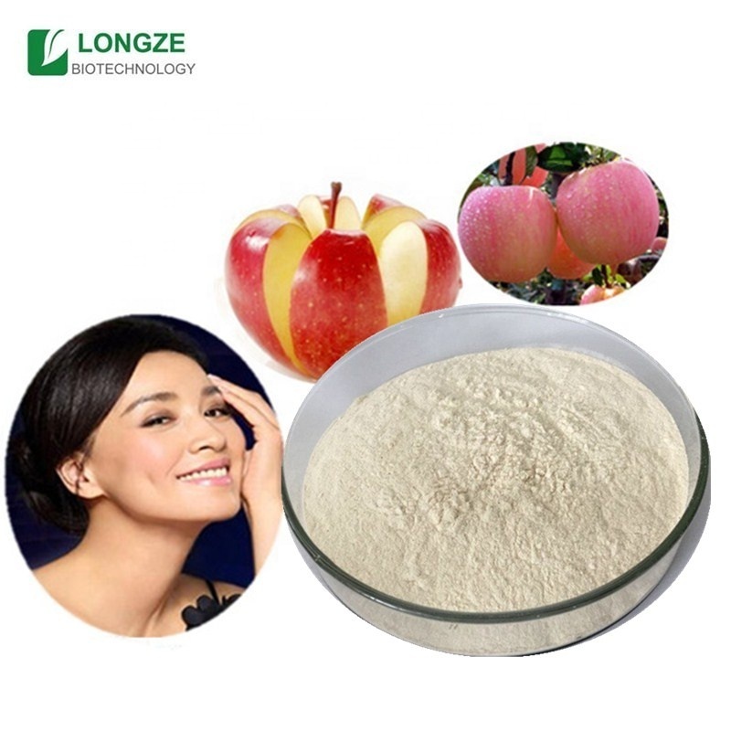 supplements Apple extract apple powder