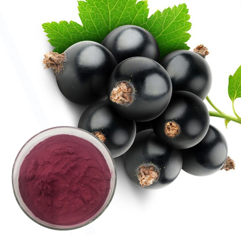 c3g black currant /25% anthocyanidins black currant extract powder