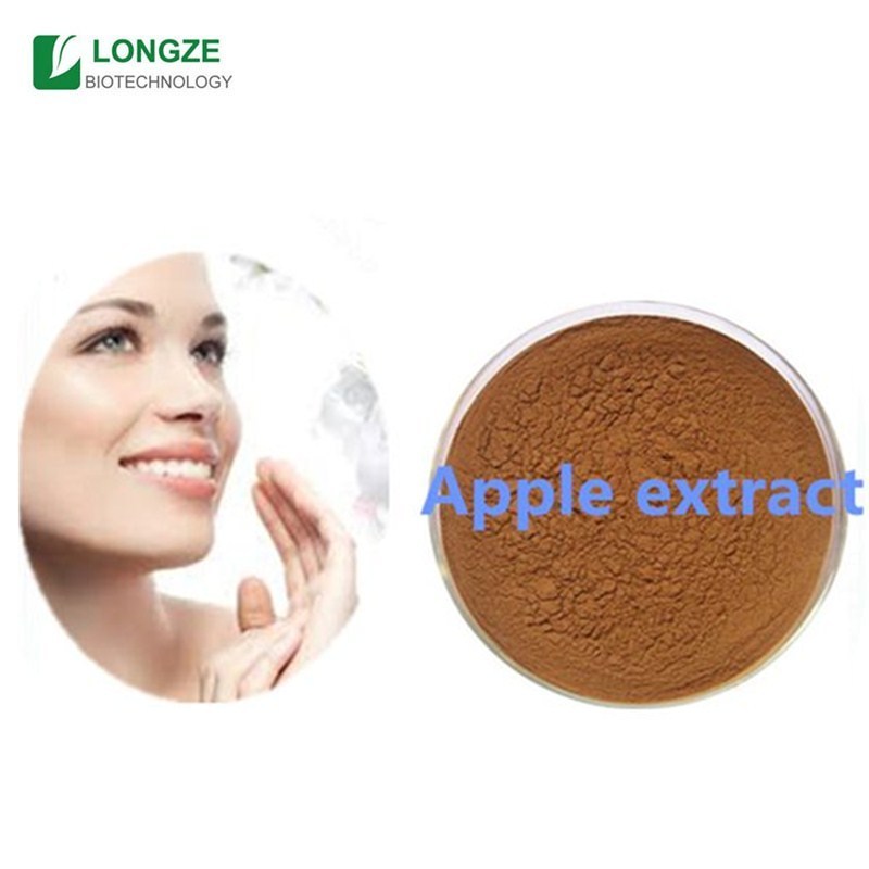 Best quality apple extract powder,malus domestica fruit powder