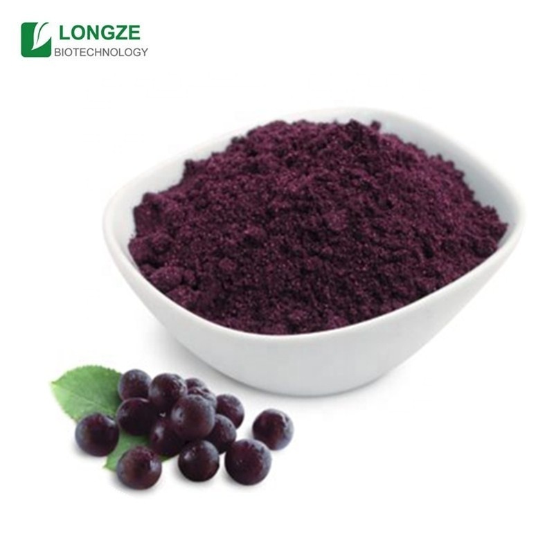 Longze supply  Maqui Fruit Powder Maqui Powder