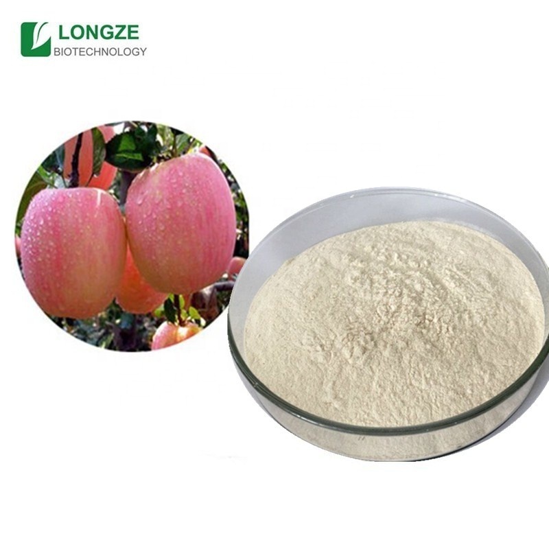 supplements Apple extract apple powder