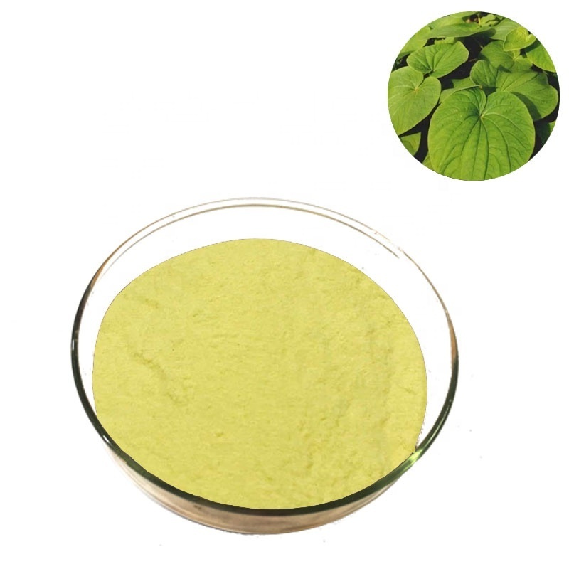 Top Quality Kavakava Kava Root Extract 10% 30%50% 70% Kavalactone Kava Extract Powder