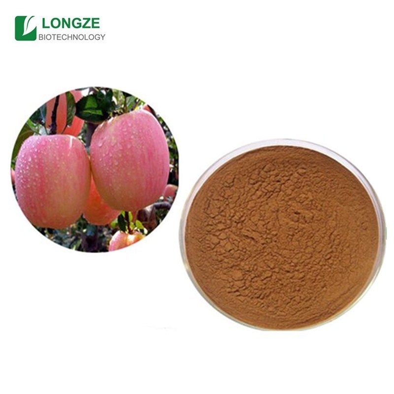 Best quality apple extract powder,malus domestica fruit powder