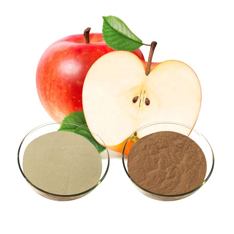 Best quality apple extract powder,malus domestica fruit powder