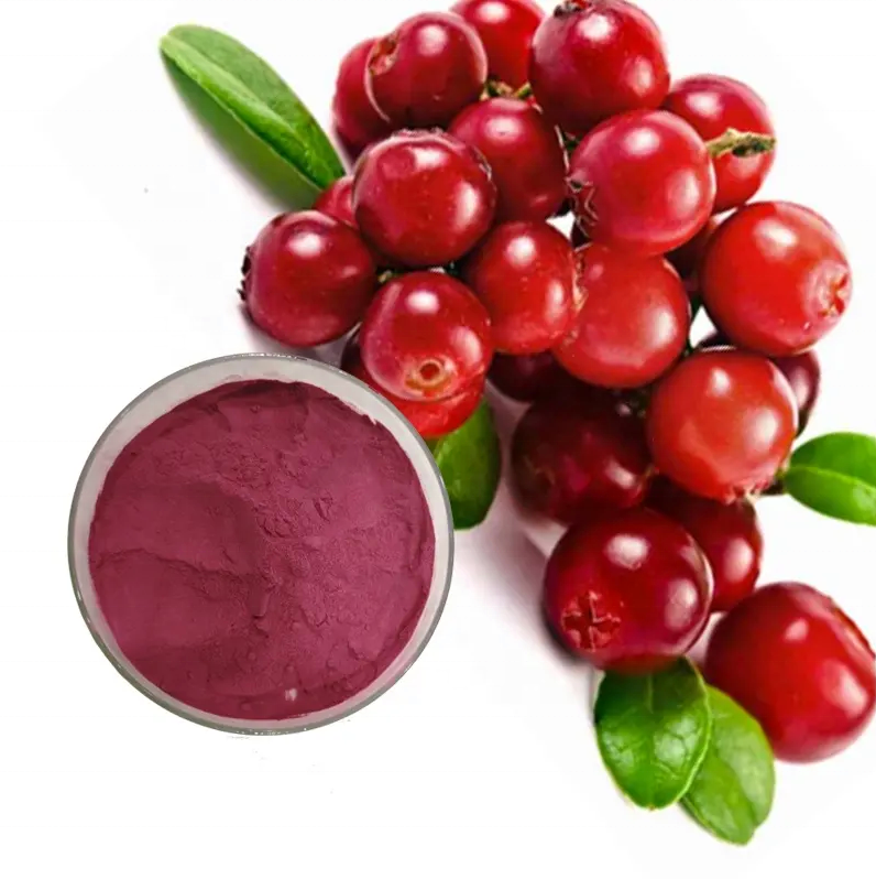 Kosher certified pure cranberry/cranberry extract powder proanthocyanidins 25%