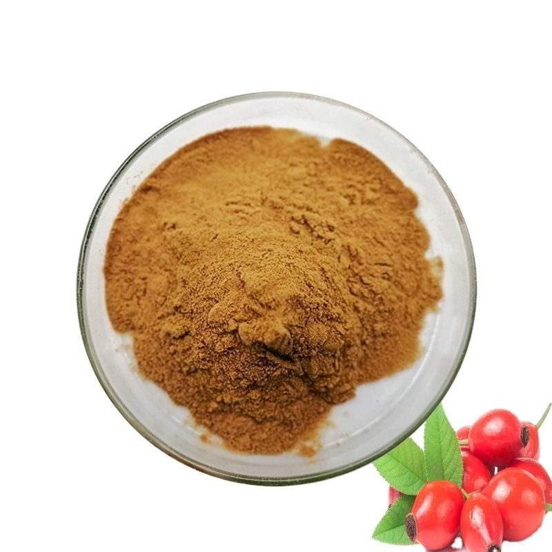 rose hip powder / Rosehip extract powder/ Rose hip extract powder