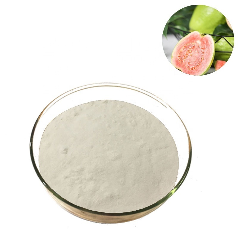 Guava Fruit powder Guava juice powder Guava powder