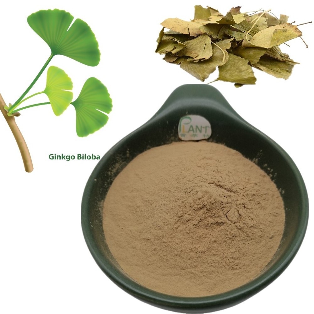 nutrifirst ginkgo biloba leaves extract capsules supplier ginko biloba extract powder capsules