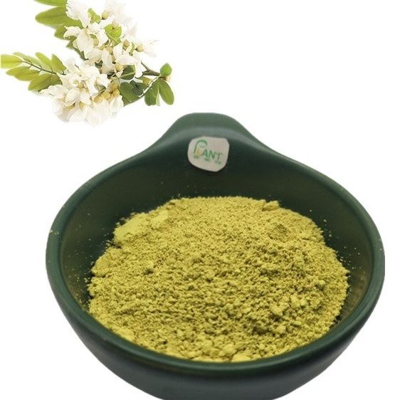 Directly supply pure natural plant anhydrous quercetin sophora japonica extract 98% quercetin powder