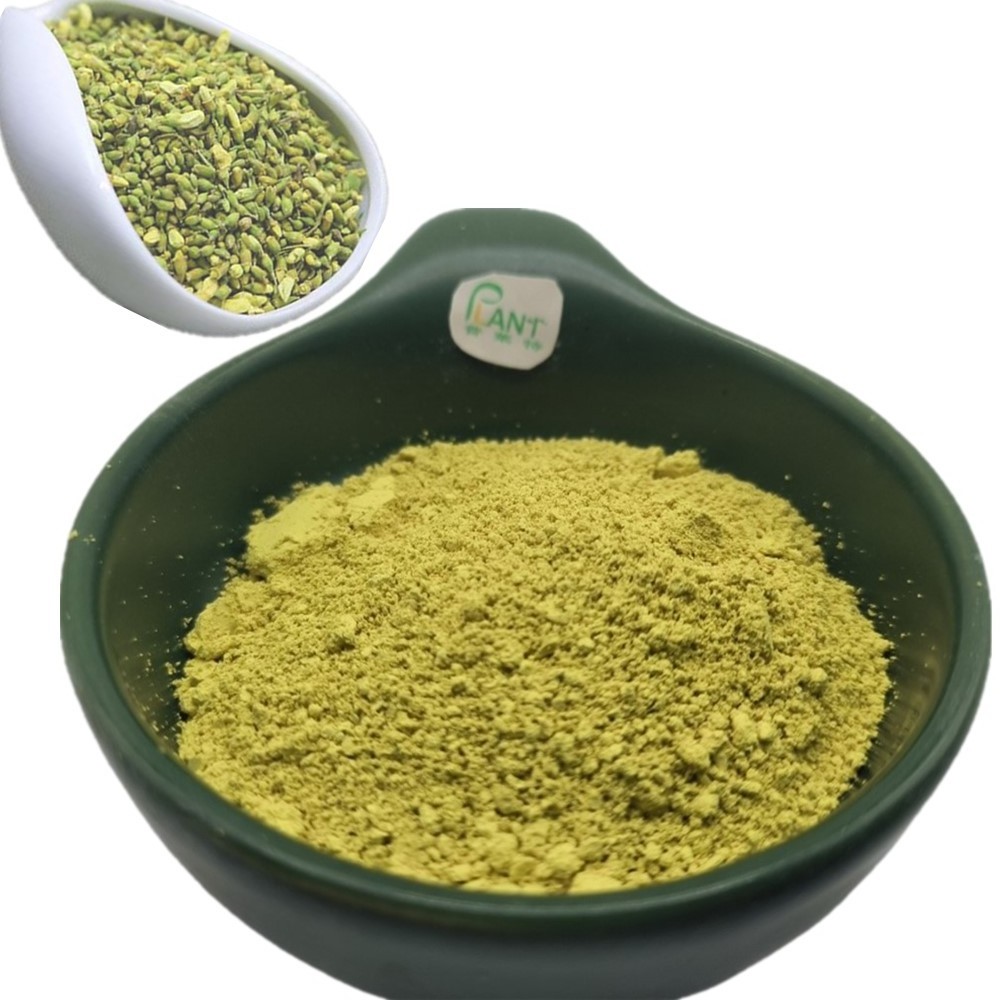 Directly supply pure natural plant anhydrous quercetin sophora japonica extract 98% quercetin powder