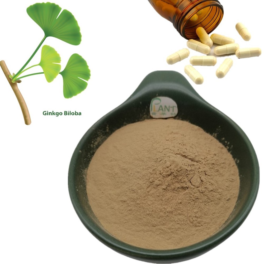 nutrifirst ginkgo biloba leaves extract capsules supplier ginko biloba extract powder capsules