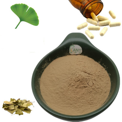 nutrifirst ginkgo biloba leaves extract capsules supplier ginko biloba extract powder capsules