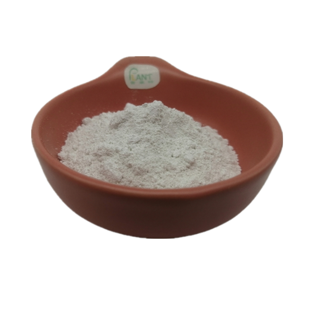 Factory Coconut Powder Milk Instant Coconut Milk Powder Wholesale Milk Coconut Powder