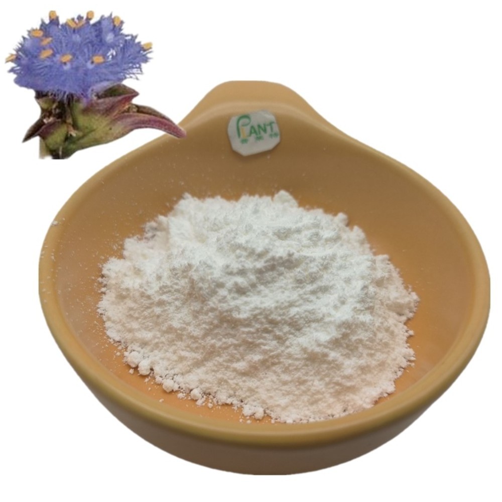 Ecdysterone powder CAS 5289-74-7 cyanotis arachnoidea root extract beta ecdysterone 90% 98% cyanotis vaga extract