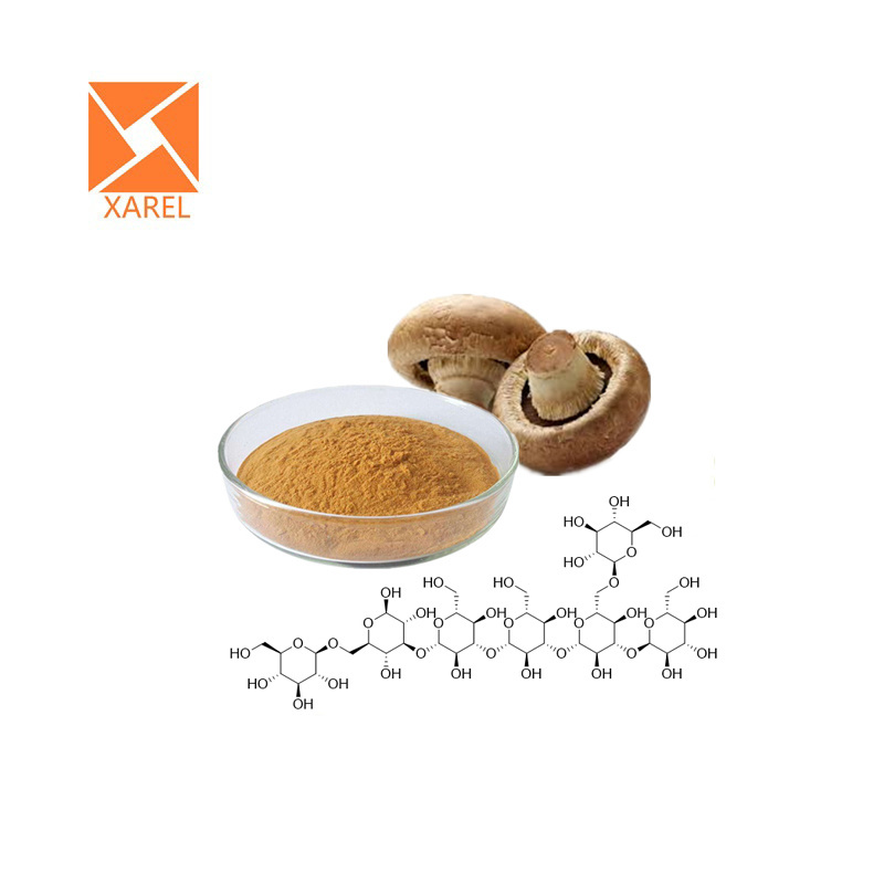 Halal Factory Shiitake Mushroom Extract Powder