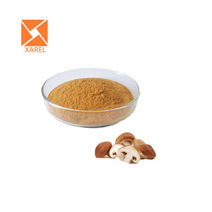 Halal Factory Shiitake Mushroom Extract Powder