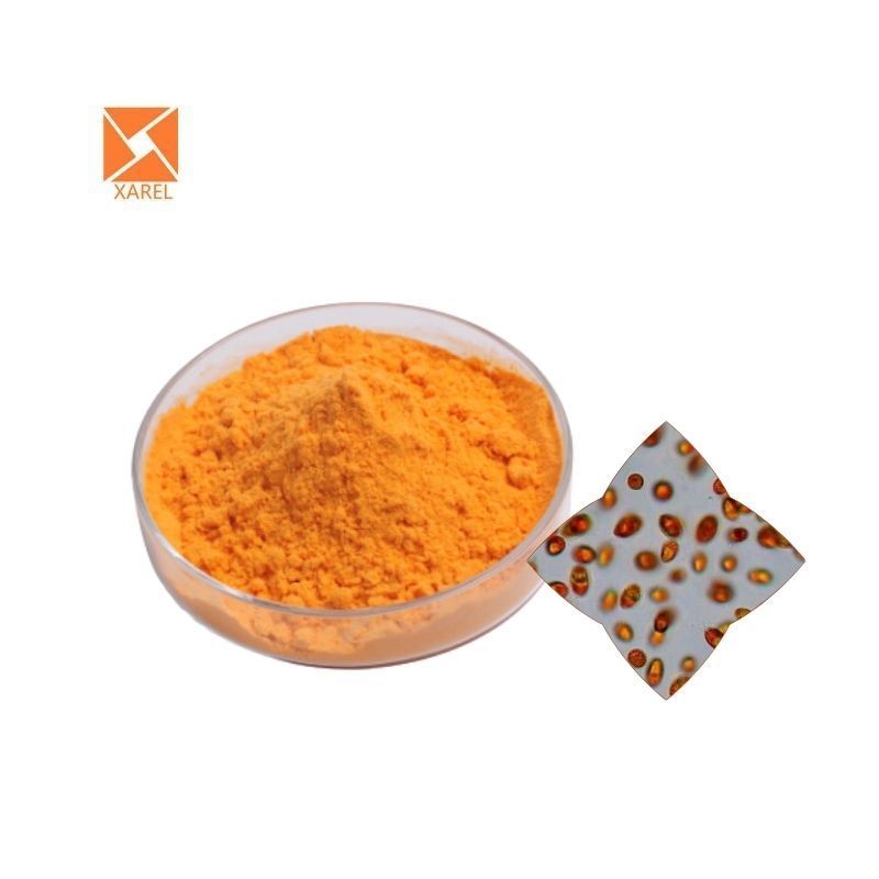 Halal grade Dunaliella salina powder price Dunaliella salina extract dunaliella salina powder 5% beta carotene