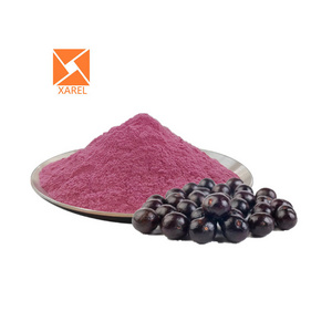 Wholesale Bulk Maqui Berry Freeze-dried Juice Powder Organic Maqui Berry Extract Powder