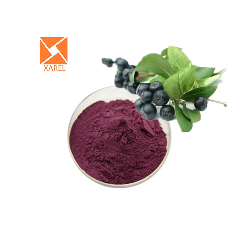 Pure natural Aronia berry extract Anthocyanidins 10% Black Chokeberry Extract powder