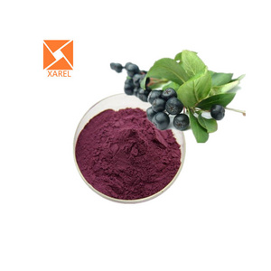 Pure natural Aronia berry extract Anthocyanidins 10% Black Chokeberry Extract powder