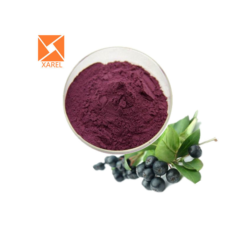 Pure natural Aronia berry extract Anthocyanidins 10% Black Chokeberry Extract powder