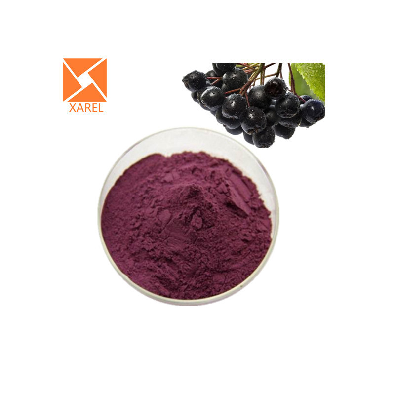 Pure natural Aronia berry extract Anthocyanidins 10% Black Chokeberry Extract powder