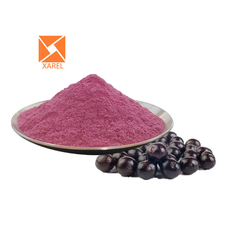 Wholesale Bulk Maqui Berry Freeze-dried Juice Powder Organic Maqui Berry Extract Powder