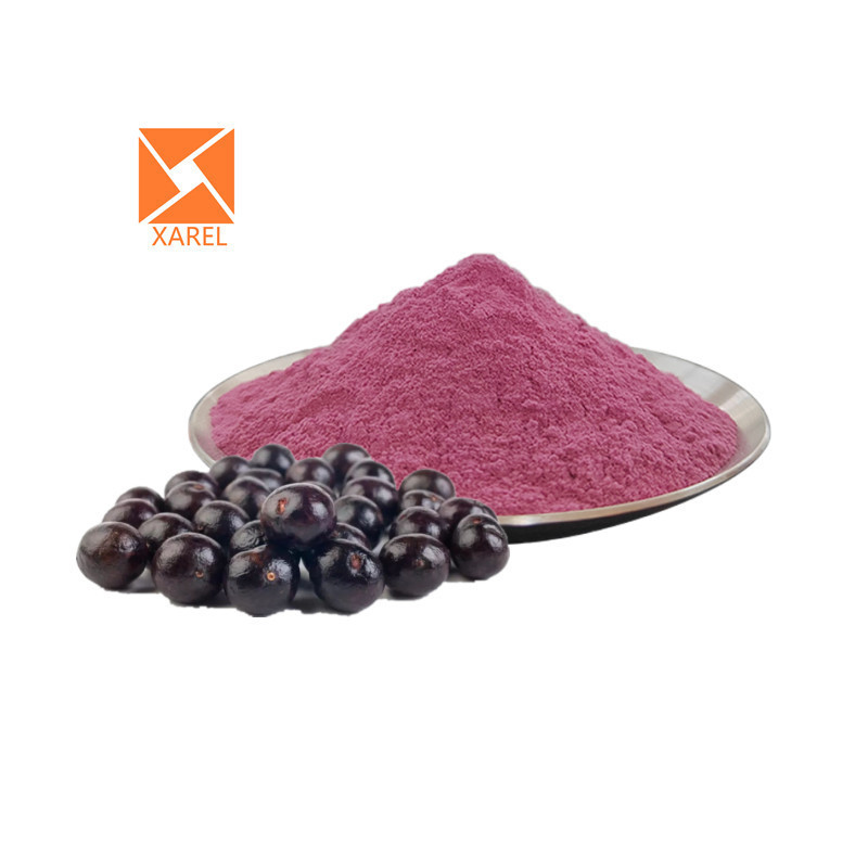 Wholesale Bulk Maqui Berry Freeze-dried Juice Powder Organic Maqui Berry Extract Powder