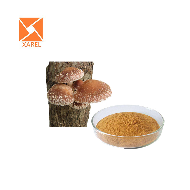 Halal Factory Shiitake Mushroom Extract Powder