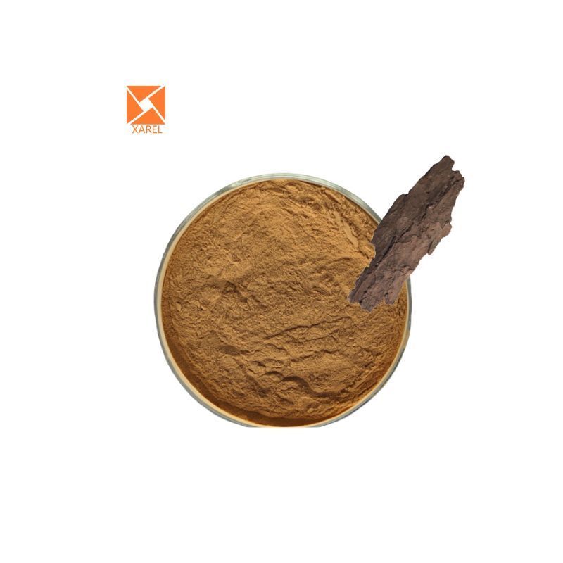 100% Natural Pine Bark Extract powder Maritime pine bark extract