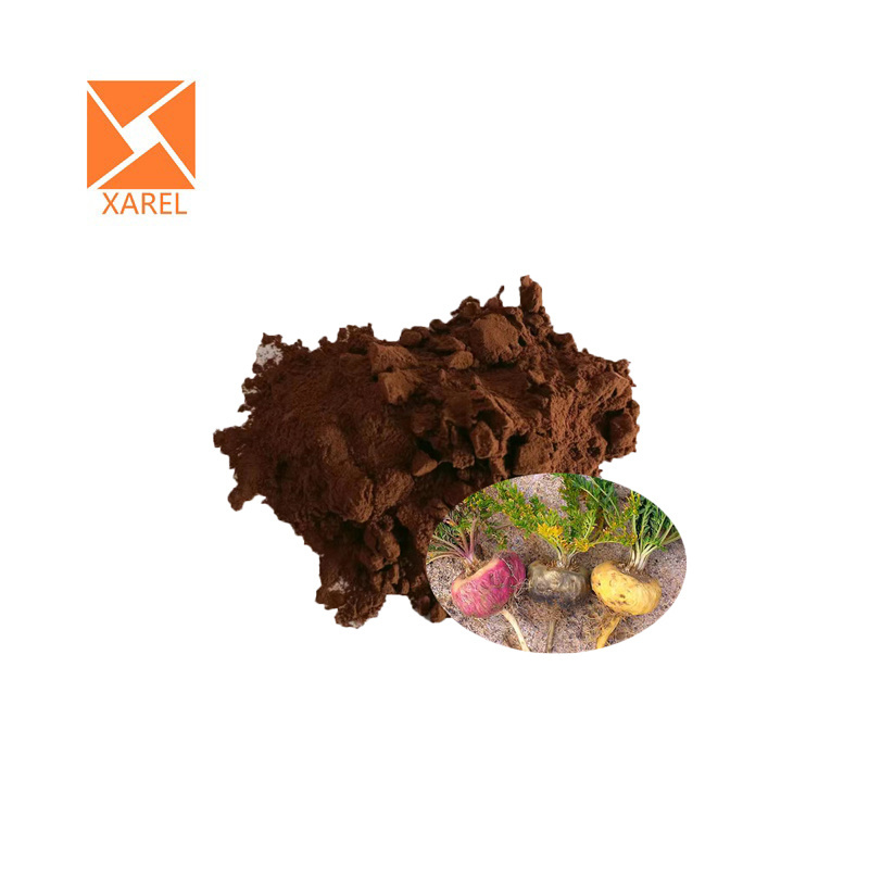 Male Health Enhance Red Maca Root Extract Macamide Powder