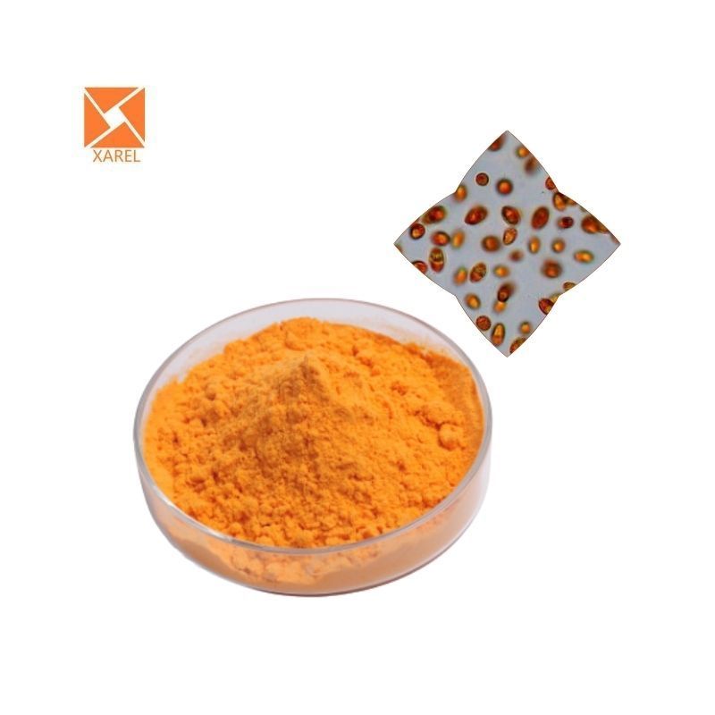 Halal grade Dunaliella salina powder price Dunaliella salina extract dunaliella salina powder 5% beta carotene