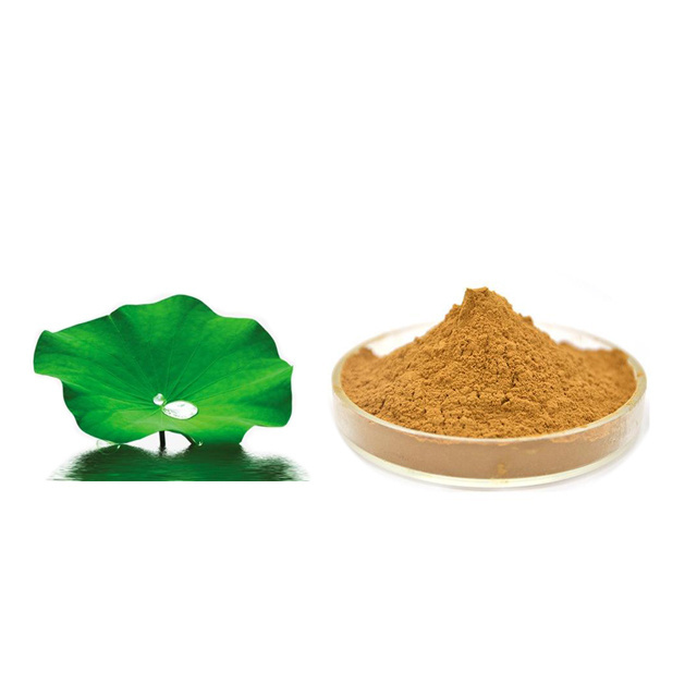 Factory supply Cassia Angustifolia Seed Polysaccharide Cassia Seed Extract Powder