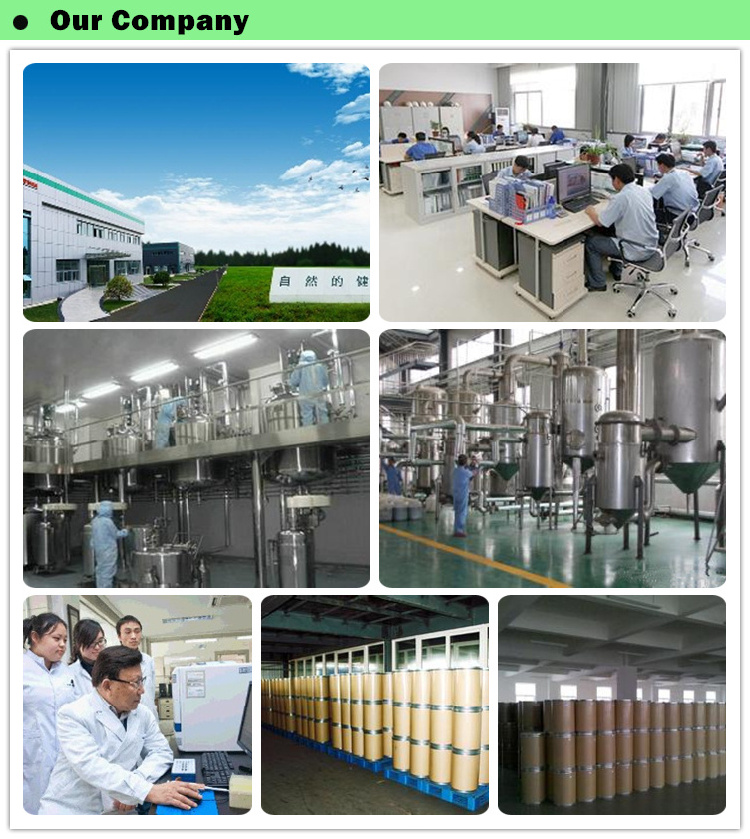 Factory supply Green Apple Fruit Juice Concentrate Powder Green Apple Powder