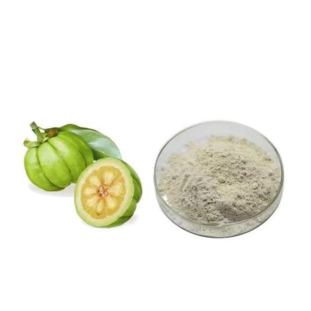 Factory supply Cassia Angustifolia Seed Polysaccharide Cassia Seed Extract Powder