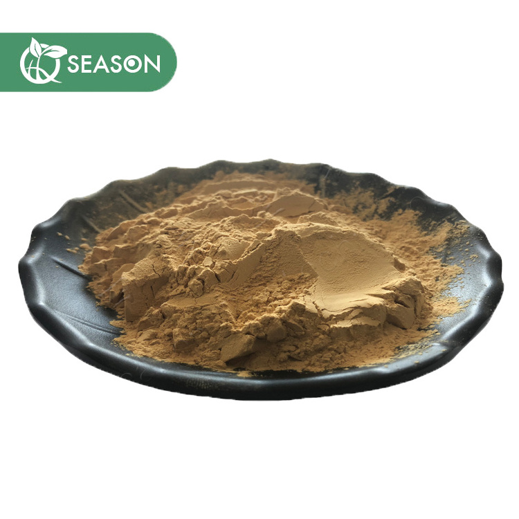 OEM Organic Ginkgo Biloba Extract Powder Ginko Biloba Capsules