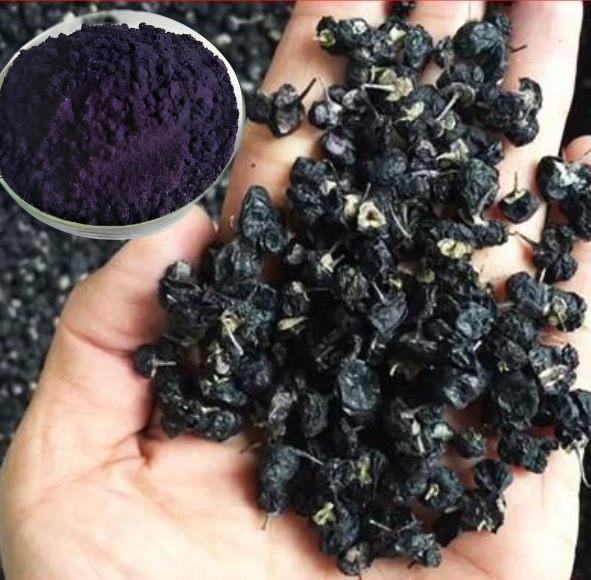 High Quality Cyanidin Wild Dried Black Wolfberry Goji Berry Anthocyanin Extract Powder Organic Black Goji Berry